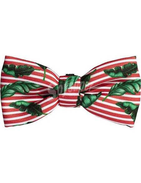 almapet pajarita bali