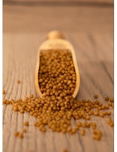 PSITTACUS FORMULA MINOR 450gr 2