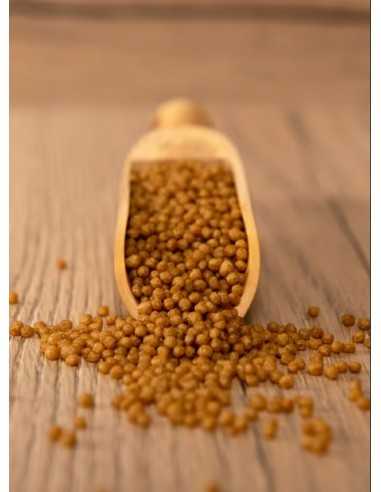 psittacus formula minor 450gr