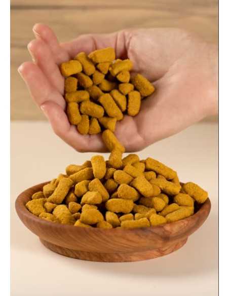 psittacus formula omega