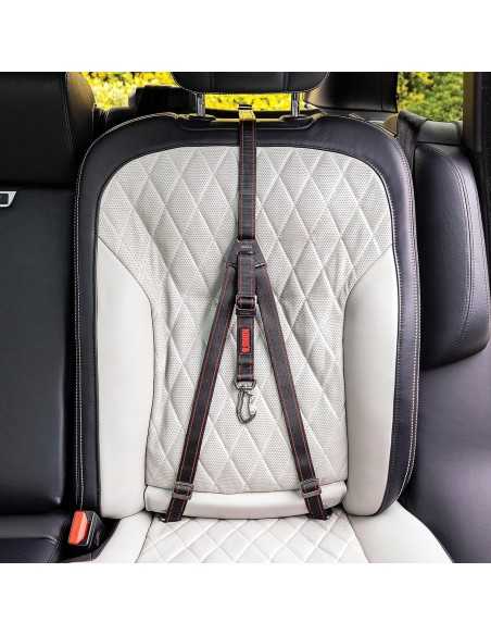 kong cinturon travl ultimate safety