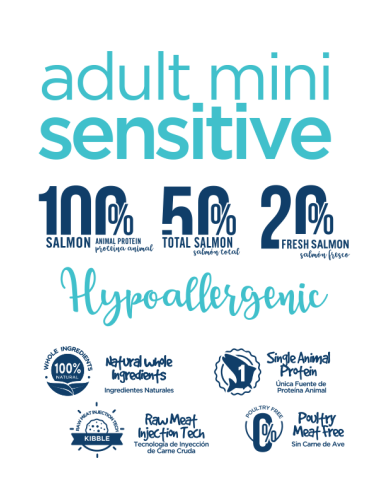 fresh adult salmon mini 3kg