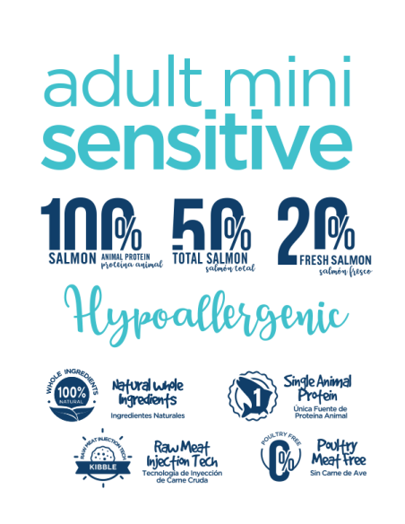 fresh adult salmon mini 3kg