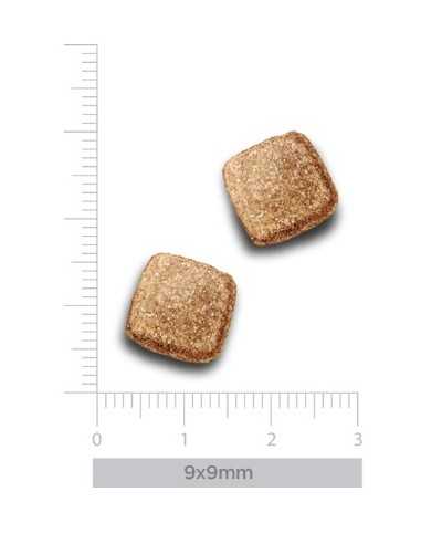 trovet plus pienso gato renal ciervo 2,5kg