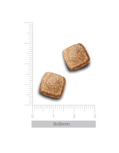 trovet plus pienso gato renal ciervo 2,5kg