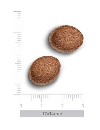 trovet plus pienso perro hipoalergénico jabalí