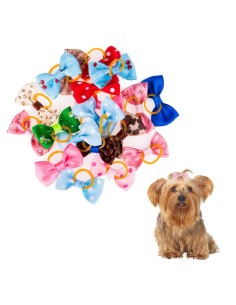 lazo individual colores variados