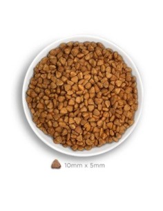 amanova pienso gato esterilizado cordero low grain 2