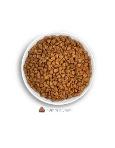 amanova pienso gato esterilizado cordero low grain