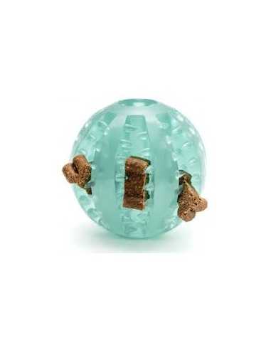 gloria dental toy pelota colores surtidos