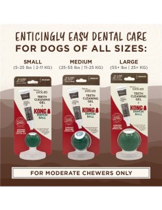 kong dental ball kit 2