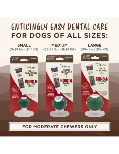 kong dental ball kit