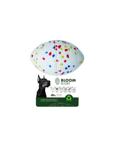 bloom pelota rugby colores