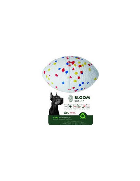 bloom pelota rugby colores