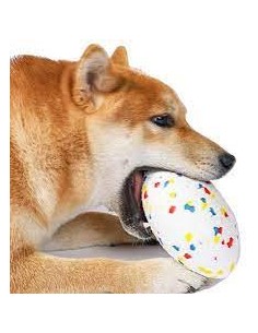 bloom pelota rugby colores 2