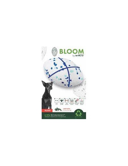 bloom pelota rugby azul