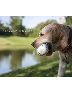 bloom pelota rugby azul 2