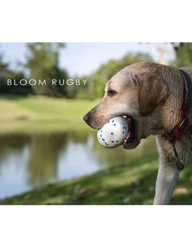 bloom pelota rugby azul