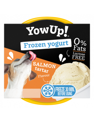yowup! yogurt helado salmón tartar