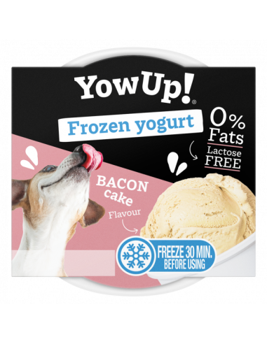 yowup! yogurt helado bacon cake