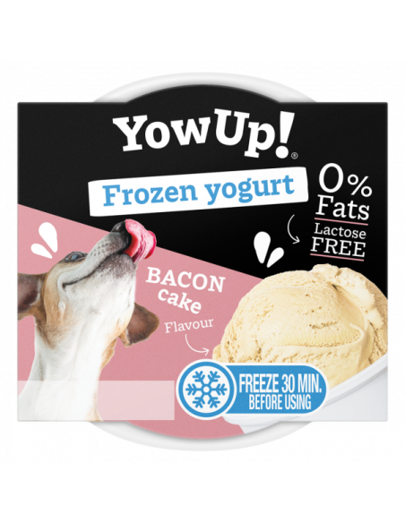 yowup! yogurt helado bacon cake