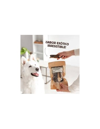 wild balance caravaca de camello