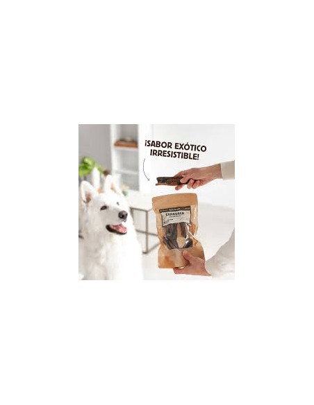 wild balance caravaca de camello