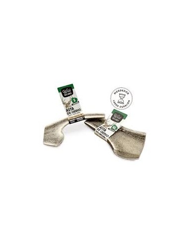 wild balance asta de ciervo