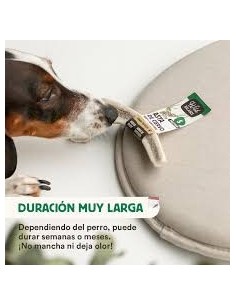 wild balance asta de ciervo 2