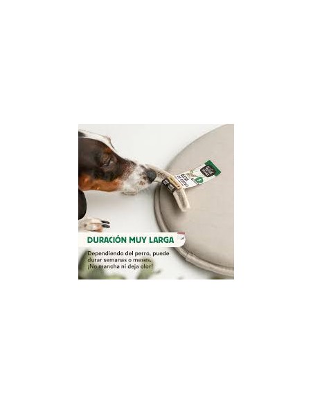 wild balance asta de ciervo