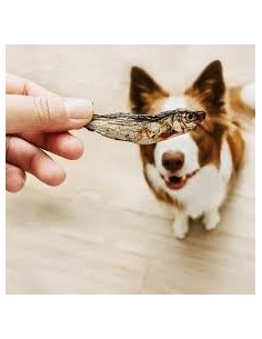 croci niki natural barf anchoas deshidratadas 2