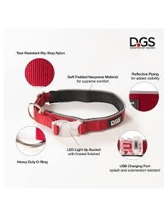 dgs collar comet con luz recargable 2