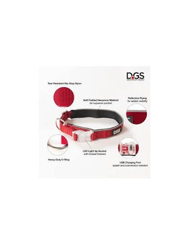dgs collar comet con luz recargable