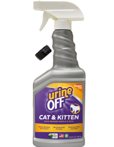 urine off cat and kitten