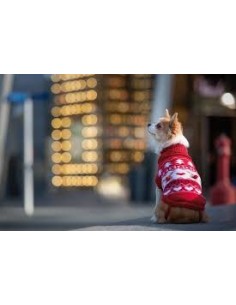 croci jersey xmas deer happy 2