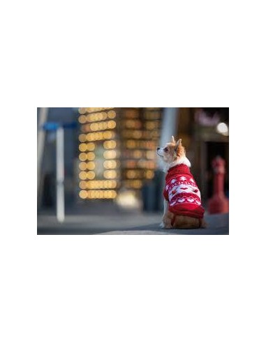 croci jersey xmas deer happy