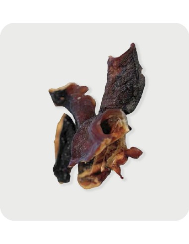 gloria snack cabeza de pulpo