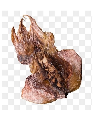 gloria snack sepia/choco