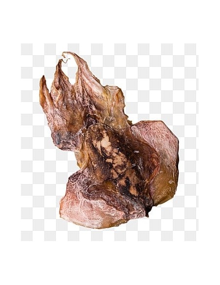 gloria snack sepia/choco