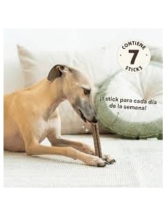 wild balance stick dental plaque remover 2