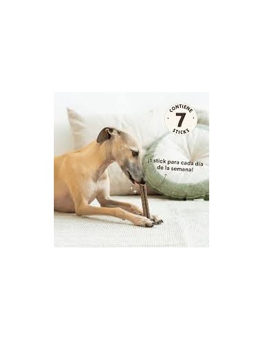 wild balance stick dental sensitive stomach