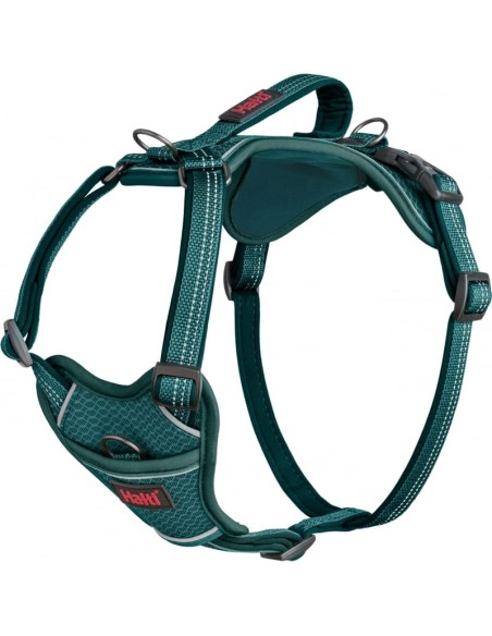 halti arnés turquesa