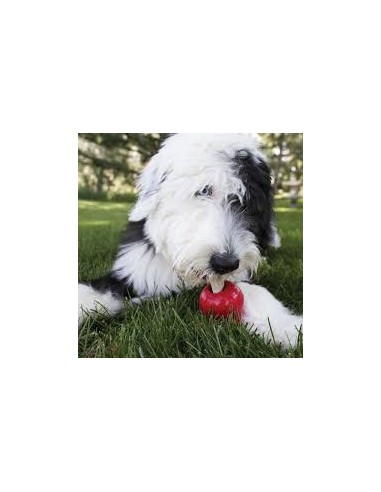 kong ziggies snack kong m/l