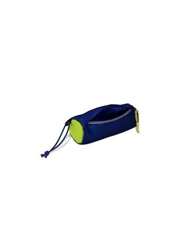 coachi fetch and reward