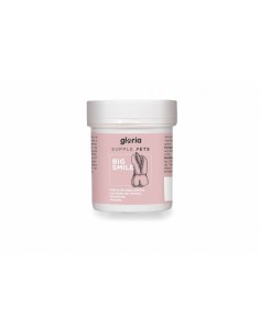 gloria big smile mantenimiento dental