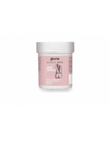 gloria big smile mantenimiento dental