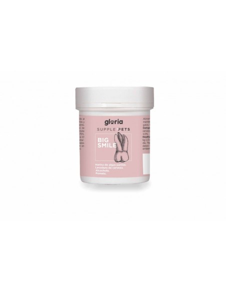 gloria big smile mantenimiento dental